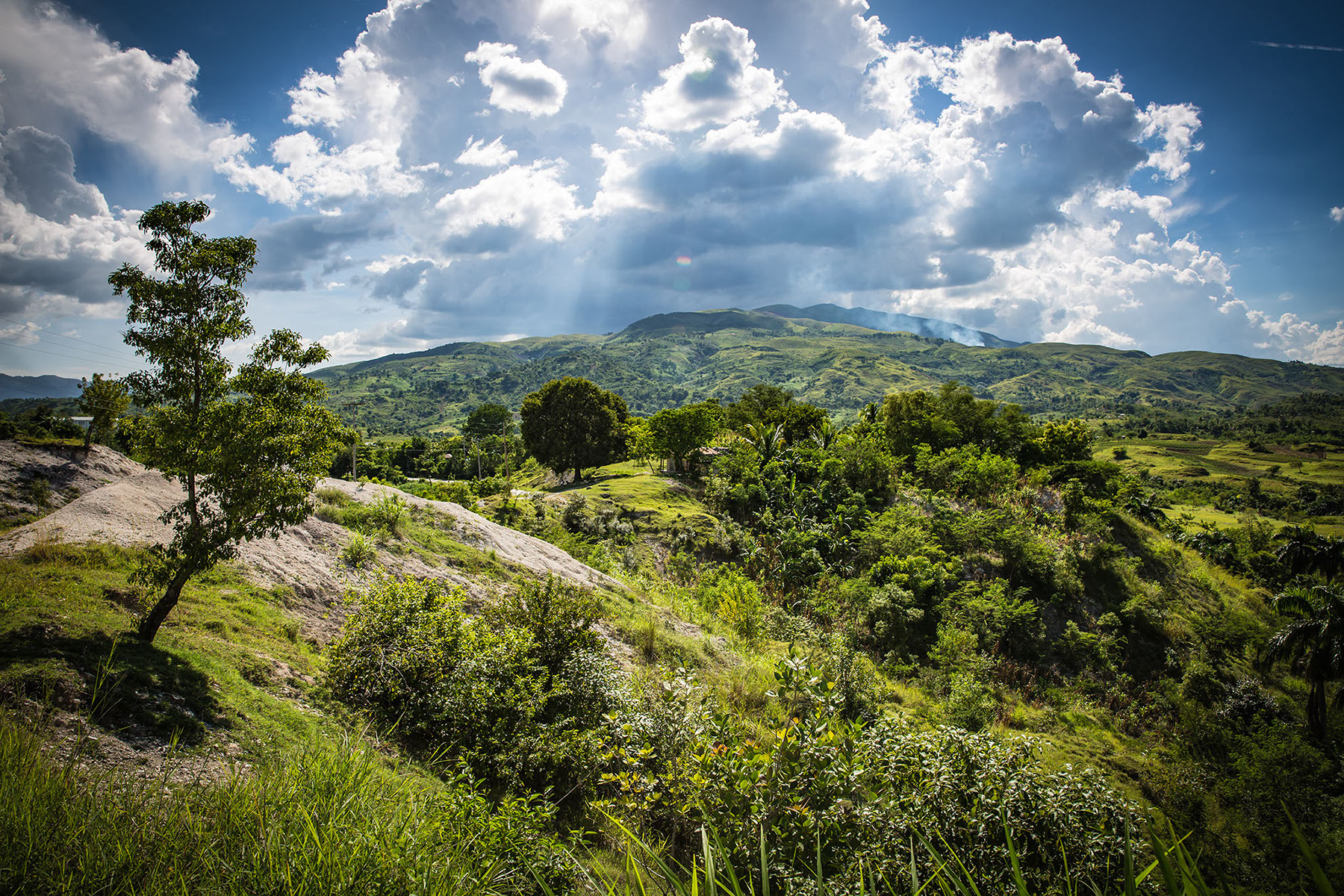 Limitless lushness and lasting struggle.