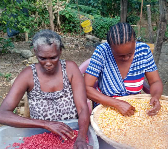 Yvrose partnered with a neighbor and expanded her business